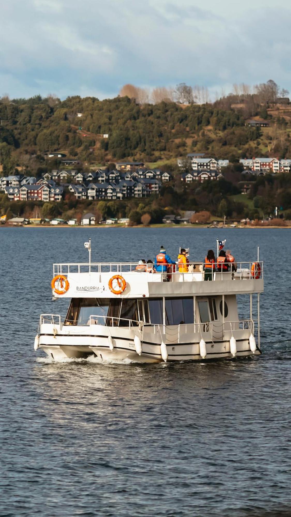 Vistas Insuperables, Excelente Ubicacion Y Tinaja Lejlighed Puerto Varas Eksteriør billede