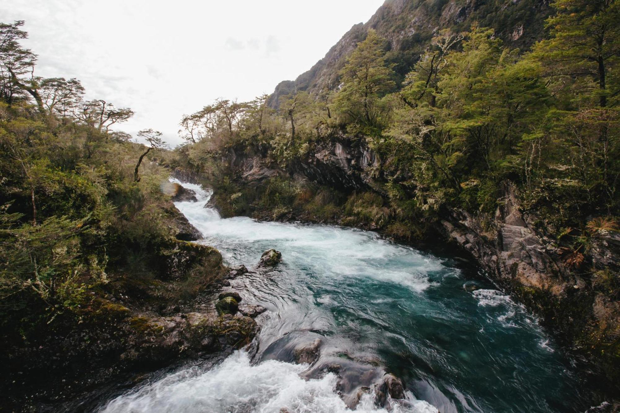 Vistas Insuperables, Excelente Ubicacion Y Tinaja Lejlighed Puerto Varas Eksteriør billede